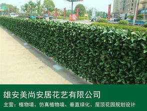 仿真植物墻 雄安美尚安居景觀工程的設計、施工與價格指南